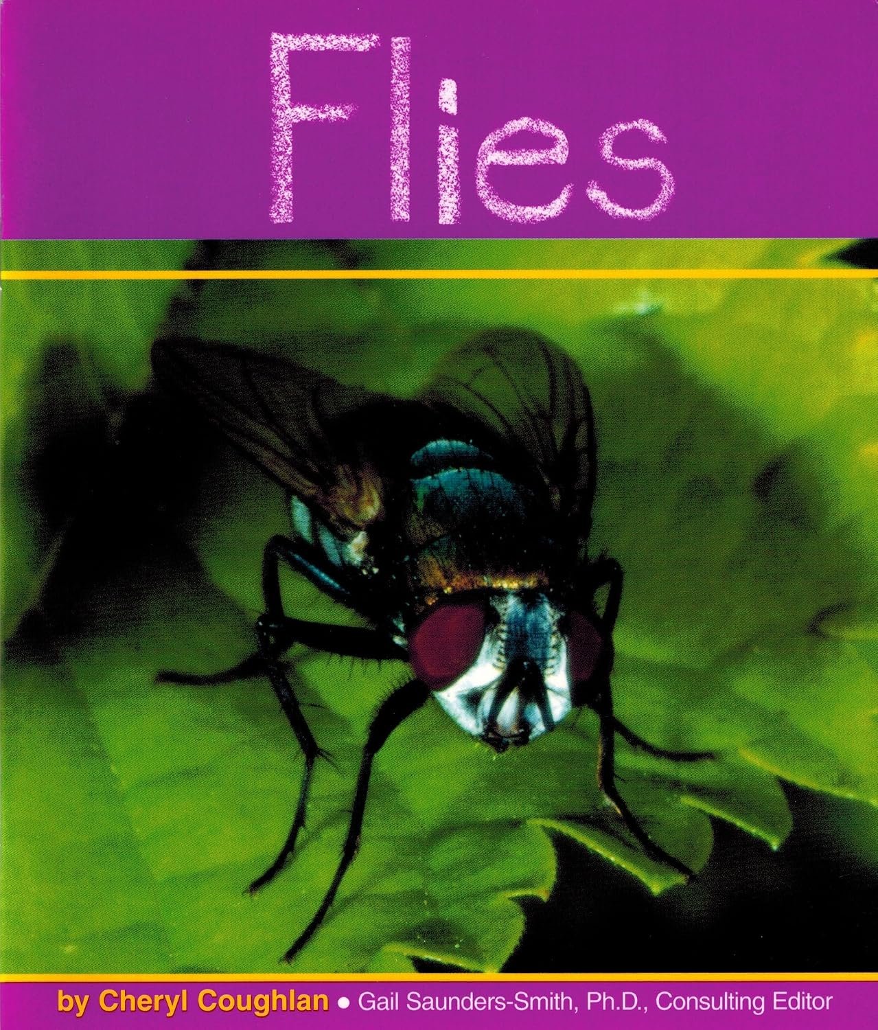 Image File